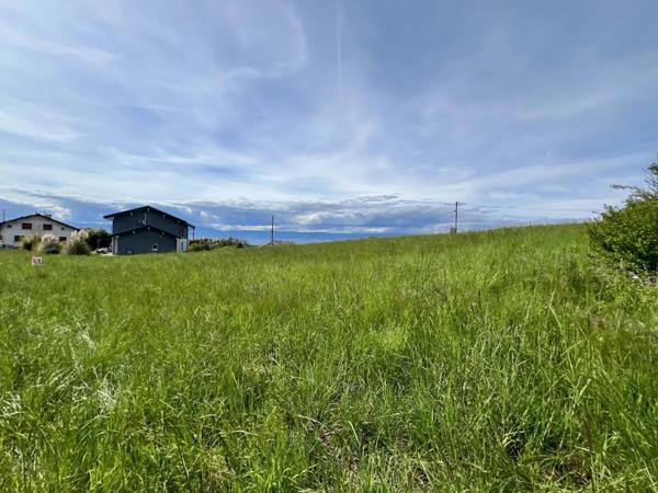 À vendre – Terrain de 1608 m² à Marin (74)