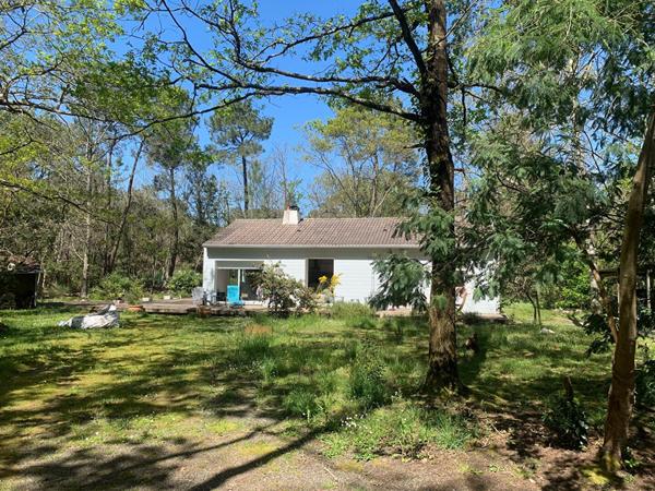Maison Notre Dame De Riez 2 chambres et dépendances sur 3 100 m2 de terrain boisé