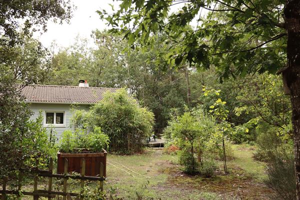 Maison Notre Dame De Riez 2 chambres et dépendances sur 3 100 m2 de terrain boisé