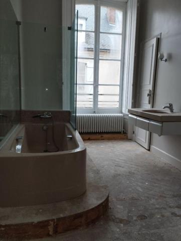 Hotel particulier Chateaudun 14 pièce(s) 420 m2