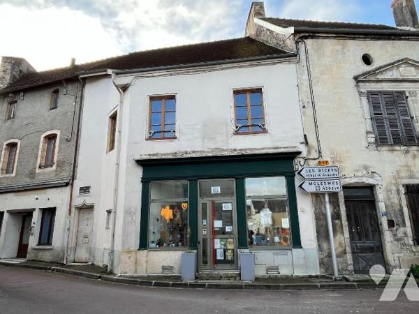 Immeuble à vendre à MUSSY SUR SEINE (10250), AUBE. Immeuble mixte à usage commercial et/ou habi...