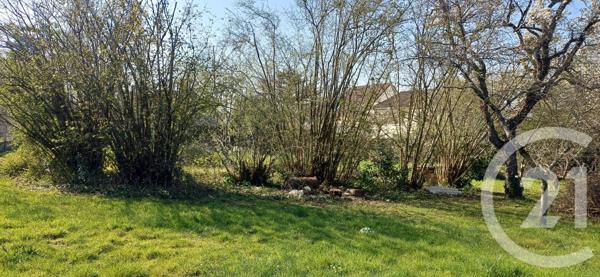 Terrain à vendre  806 m2 MENNECY - 91