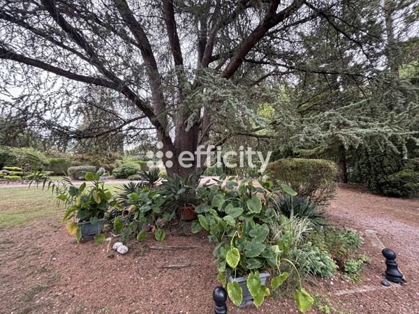 Maison 15 pièces - 340 m² Bien prestige