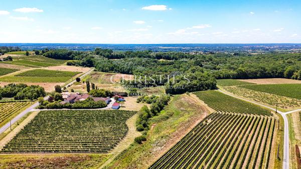 Petit domaine viticole avec trois maisons, 350m² avec piscine