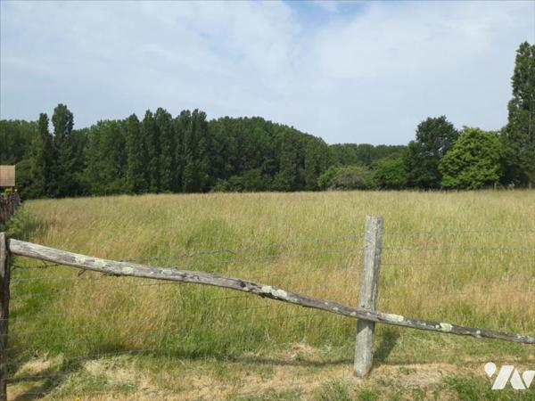 MARIGNE LAILLE, terrain non viabilisé contructible pour 566 m².