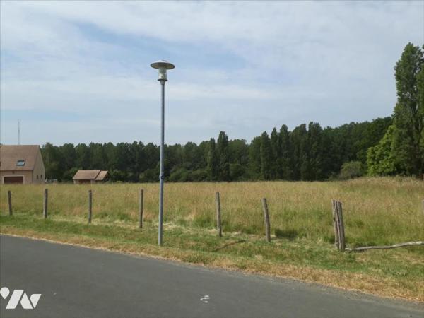 MARIGNE LAILLE, terrain non viabilisé contructible pour 566 m².