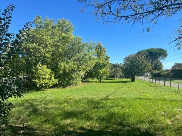 Terrain à vendre |  Brens |  559 m²