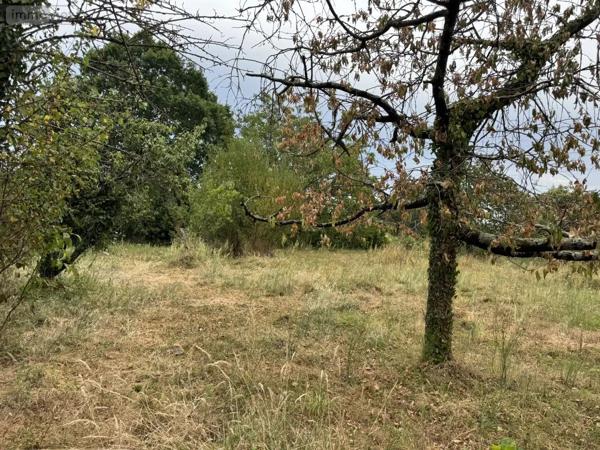 Achat - Maison Bourgueil 37140 6 pièces 145 m 2 3461 m 2