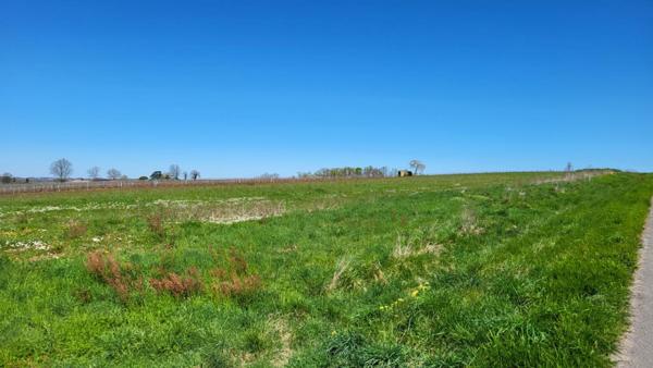 33220 proche Pineuilh Terrain pour reboisement  d'une superficie de 6ha 37 avec contrat