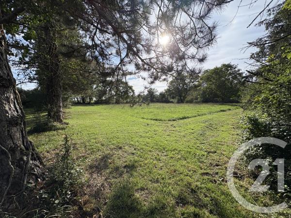 Terrain à vendre  5495 m2 MOSNAY - 36