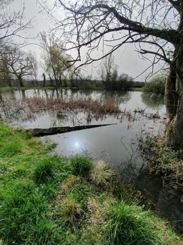 Corps de ferme Luant 7 pièce(s)  + granges + dépendances sur 2 ha