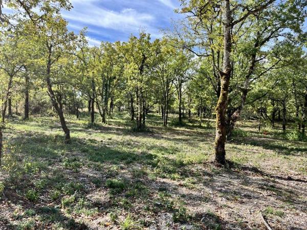 Terrain à vendre |  Lalbenque |  747 m²