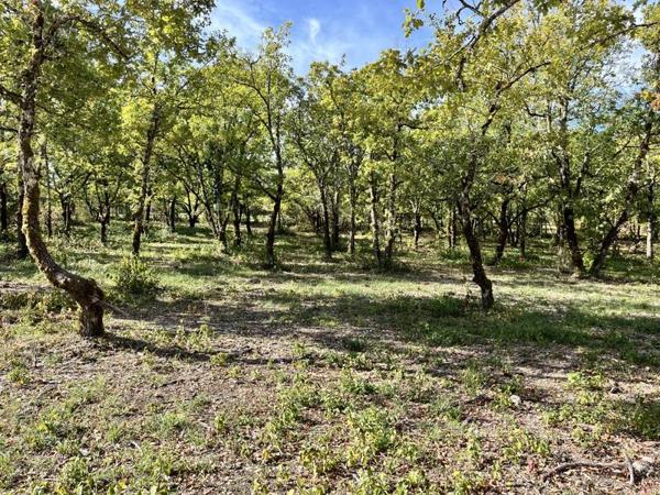 Terrain à vendre |  Lalbenque |  747 m²