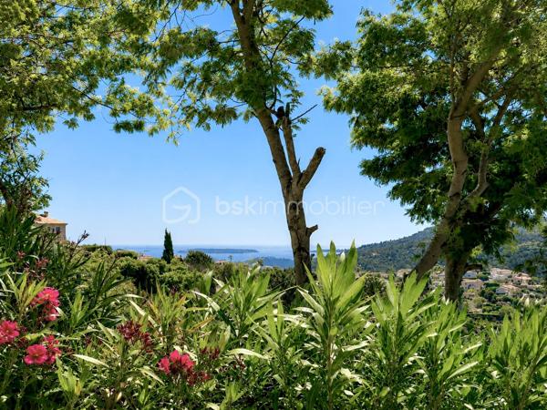 À seulement 10 minutes de Mandelieu, dans le secteur recherché de Saint-Jean de Cannes, nichée dans un environnement privilégié au calme absolu, cette élégante villa de plain-pied d’environ 105 m² offre un art de vivre rare entre mer et nature.
Baignée de lumière grâce à son exposition plein Sud, cette propriété séduit immédiatement par son atmosphère chaleureuse, ses prestations soignées et son charme authentique.
Le cœur de la maison s’articule autour d’un superbe espace de vie de plus de 42 m² avec sa magnifique cheminée et sa cuisine ouverte, pensé pour des instants de convivialité et de réception dans une ambiance raffinée.
La villa propose :
• Trois belles chambres, dont une suite avec salle d’eau
• Une élégante salle de bain avec baignoire
• Deux WC
• Une climatisation assurant un confort optimal toute l’année
• De beaux volumes et une circulation fluide entièrement de plain-pied
À l’extérieur, le charme opère immédiatement : une agréable piscine, des espaces de détente intimistes, une terrasse ombragée idéale pour les repas d’été et un magnifique aperçu mer et montagne offrant un décor apaisant à chaque instant.
Un garage de 17 m² complète ce bien avec la possibilité d’aménager un espace supplémentaire selon vos envies : suite invités, bureau, atelier ou salle de loisirs.
 Les atouts :
• Secteur recherché de Saint-Jean de Cannes
• Exposition plein Sud
• Séjour / cuisine de 42 m²
• Magnifique cheminée
• Piscine
• Aperçu mer & vue exceptionnelle montagne
• Calme absolu
• Villa parfaitement entretenue
• Potentiel d’évolution
• À proximité immédiate de Mandelieu et des accès principaux

Une propriété rare où élégance, sérénité et douceur de vivre se rencontrent.

Appelez-moi dès maintenant au 06.69.66.17.19 pour organiser une visite et découvrir tout le charme de cette propriété.