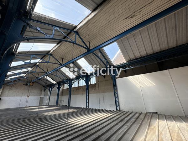 Local Commercial 5 pièces - 291 m²