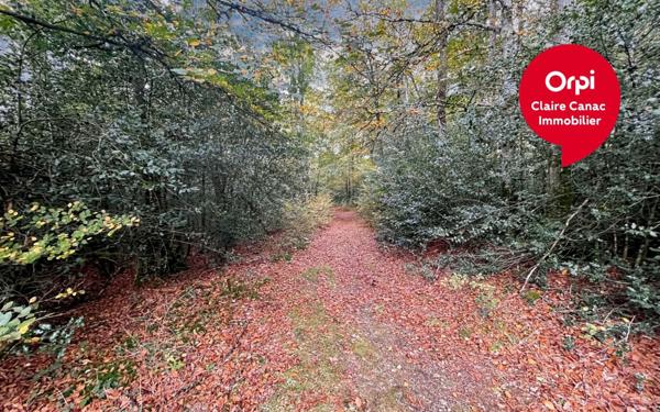 Maison à vendre    15 pièces •  Saint-Amans-Valtoret