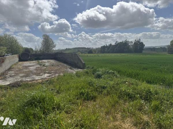 ENSEMBLE DE TERRES AGRICOLES+ HANGAR+ POULAILLERS