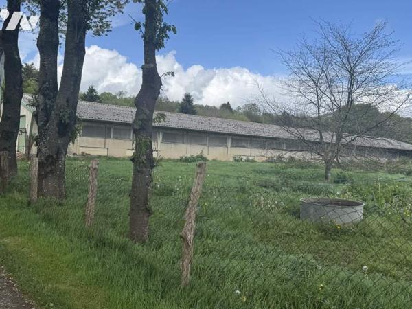 ENSEMBLE DE TERRES AGRICOLES+ HANGAR+ POULAILLERS