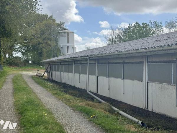 ENSEMBLE DE TERRES AGRICOLES+ HANGAR+ POULAILLERS
