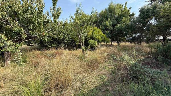 Terrain à L' ILE-D'YEU, 85350 - 874m²