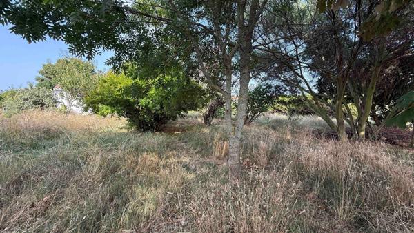 Terrain à L' ILE-D'YEU, 85350 - 874m²