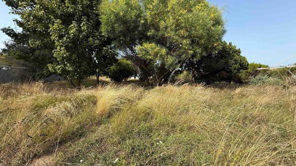 Terrain à L' ILE-D'YEU, 85350 - 874m²