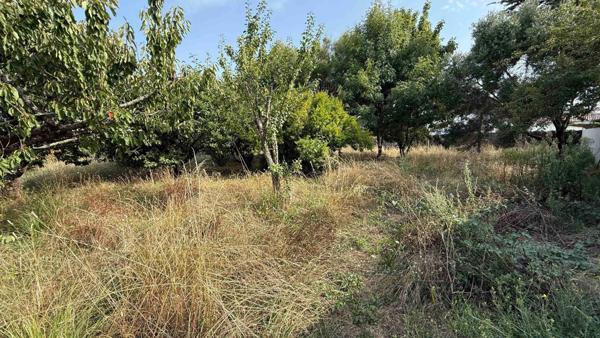 Terrain à L' ILE-D'YEU, 85350 - 874m²