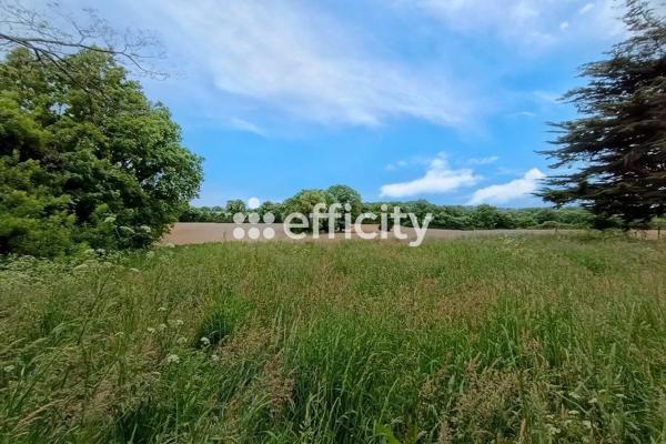 Maison 5 pièces - 95 m²