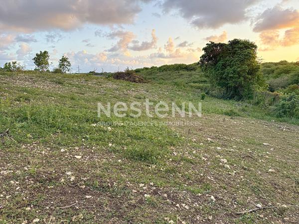 A vendre terrain constructible de 780 m2 a GISSAC SAINTE-ANNE  proche de la plage de Bois Jolan