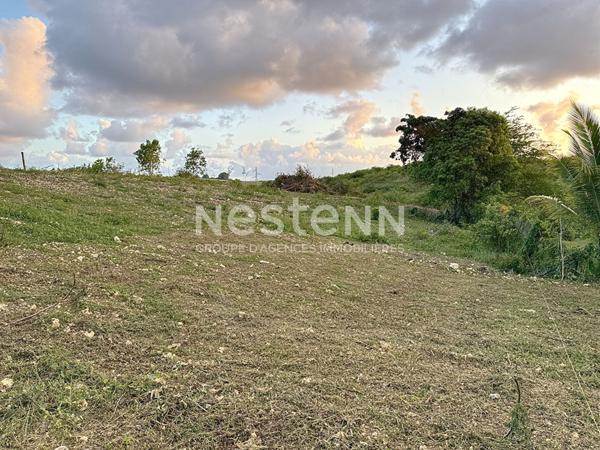 A vendre terrain constructible de 780 m2 a GISSAC SAINTE-ANNE  proche de la plage de Bois Jolan