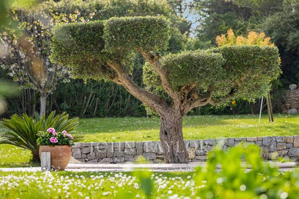 Villa rénovée avec un studio indépendant à louer à Valbonne - Domaine privé, piscine chauffée, 6 chambres