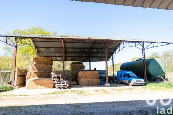 Maison à vendre 11 pièces 267 m² Solterre