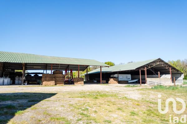 Maison à vendre 11 pièces 267 m² Solterre