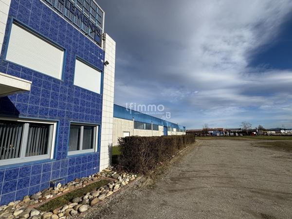 local 30 pièces 3280 m² Ungersheim Haut-Rhin