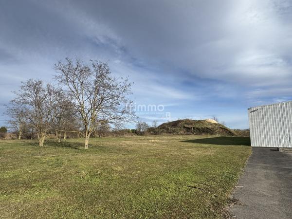 local 30 pièces 3280 m² Ungersheim Haut-Rhin