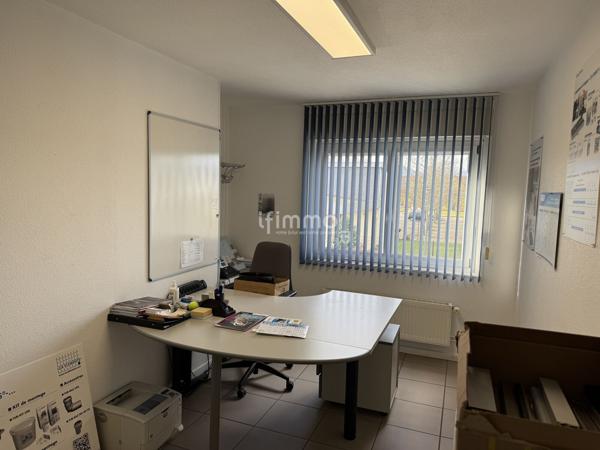 local 30 pièces 3280 m² Ungersheim Haut-Rhin