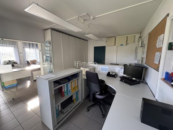local 30 pièces 3280 m² Ungersheim Haut-Rhin