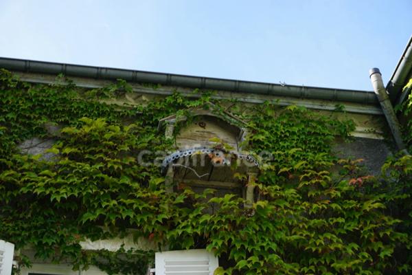 Maison de caractère, rare, 14 pièces proche de EPERNAY (51)