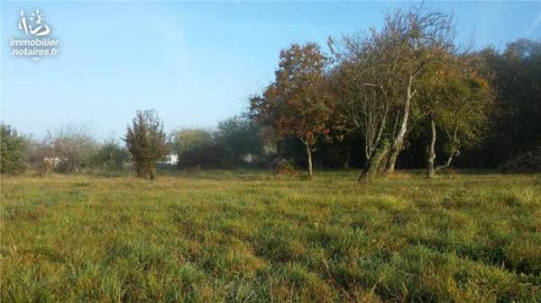 VENTE TERRAIN À BÂTIR - LUCAY LE MALE