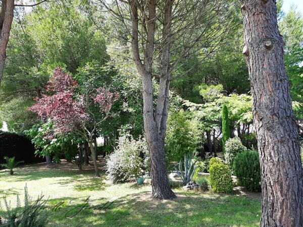 Saint Remy De Provence villa 5 pièces 128 m² avec piscine et dépendance