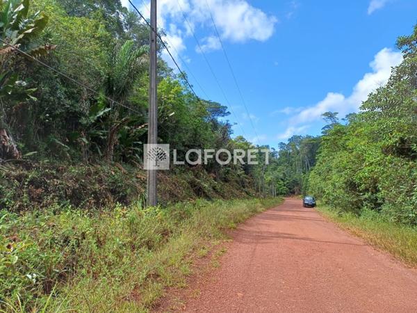 Achat terrain Roura - 36201 m² - 270 000 €