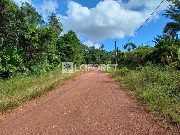 Achat terrain Roura - 36201 m² - 270 000 €