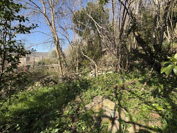 Vente Maison de village 1 pièces 48 m2 à Chalabre