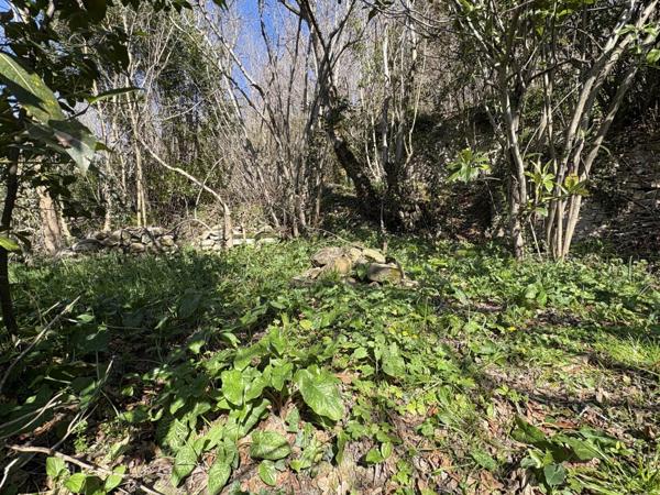 Vente Maison de village 1 pièces 48 m2 à Chalabre