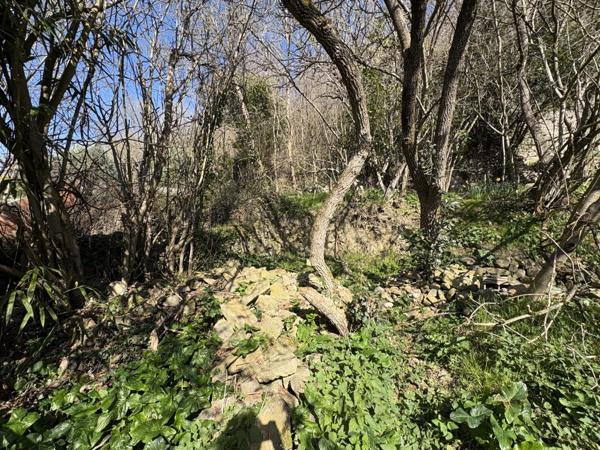 Vente Maison de village 1 pièces 48 m2 à Chalabre