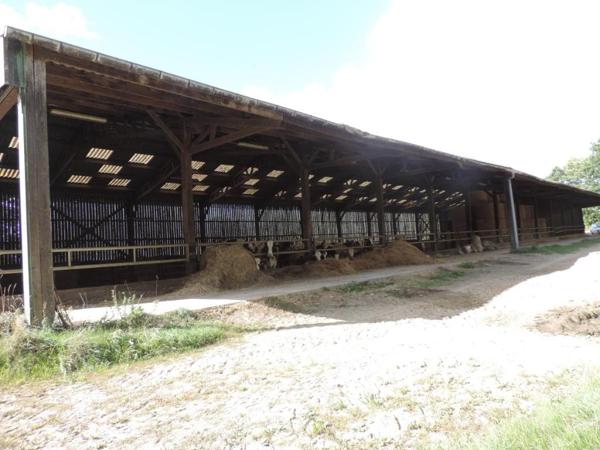 + DE 50 HECTARES DE TERRES AGRICOLES + STABULATION A MAEL-PESTIVIEN