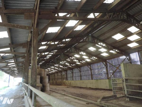 + DE 50 HECTARES DE TERRES AGRICOLES + STABULATION A MAEL-PESTIVIEN