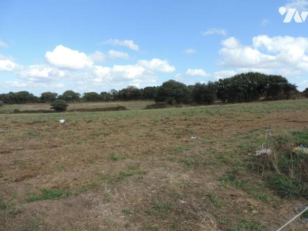 + DE 50 HECTARES DE TERRES AGRICOLES + STABULATION A MAEL-PESTIVIEN