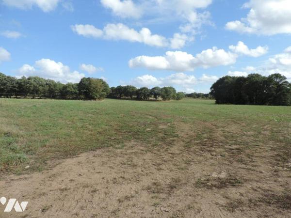 + DE 50 HECTARES DE TERRES AGRICOLES + STABULATION A MAEL-PESTIVIEN