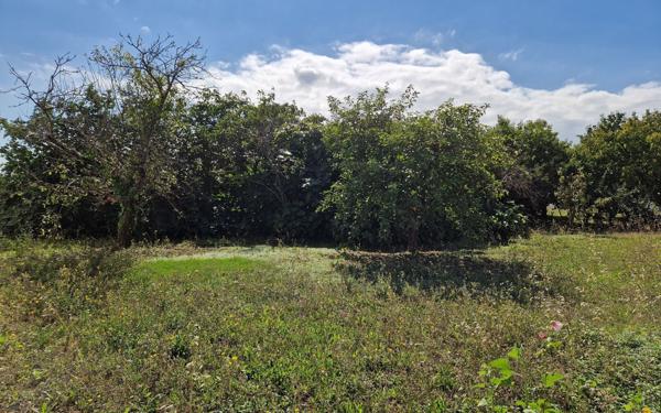 Terrain à vendre    La Jarrie